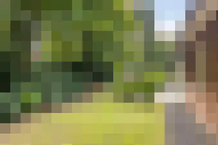 Torenweg 28 Epe thumbnail 53