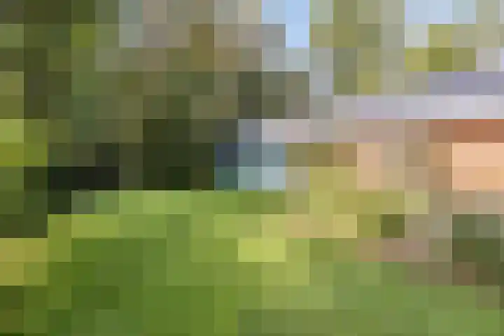 Torenweg 28 Epe thumbnail 55