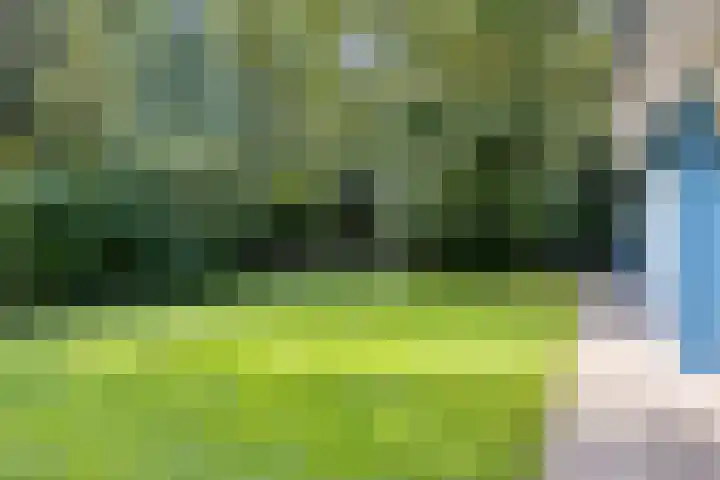 Torenweg 28 Epe thumbnail 56