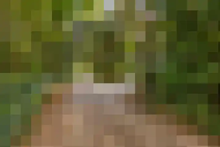 Torenweg 28 Epe thumbnail 7