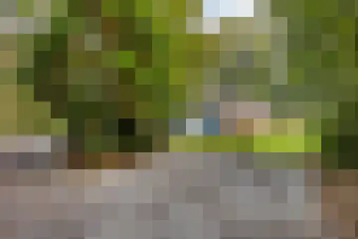 Torenweg 28 Epe thumbnail 8