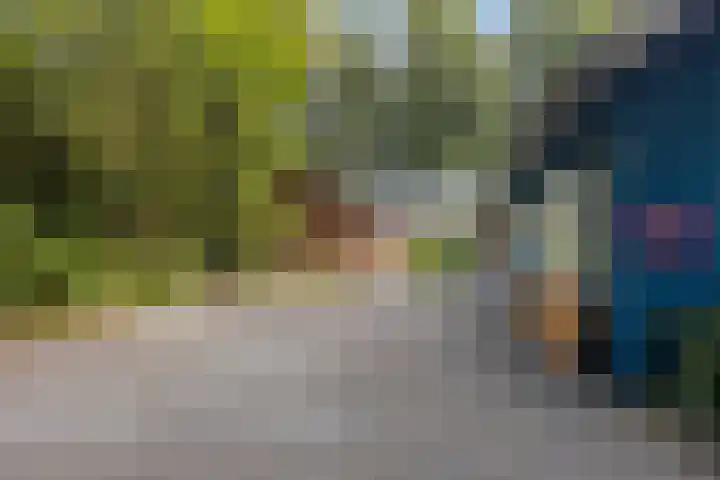 Torenweg 28 Epe thumbnail 9