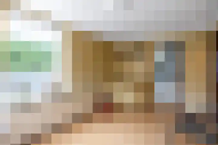 Torenweg 29 Adorp thumbnail 13