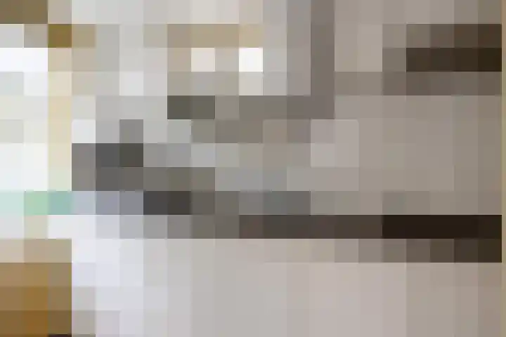 Torenweg 29 Adorp thumbnail 14
