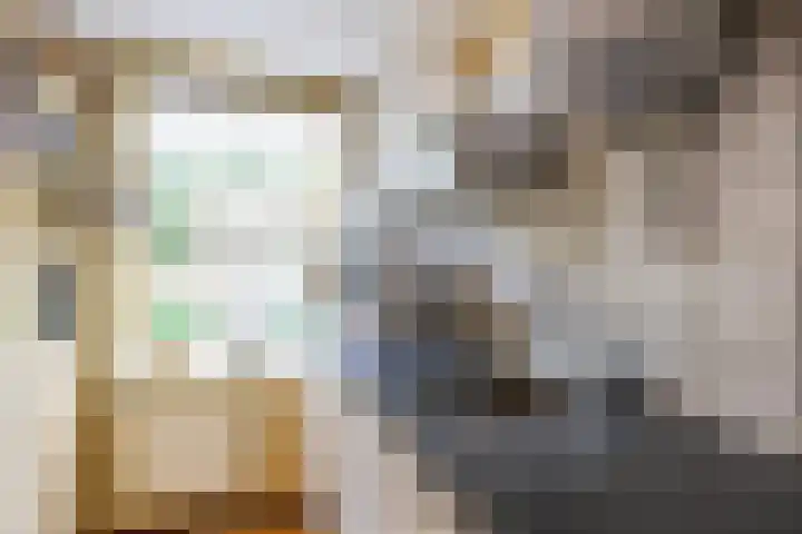 Torenweg 29 Adorp thumbnail 15