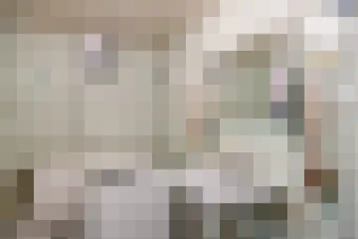 Torenweg 29 Adorp thumbnail 20