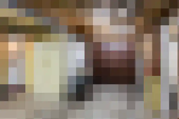 Torenweg 29 Adorp thumbnail 23
