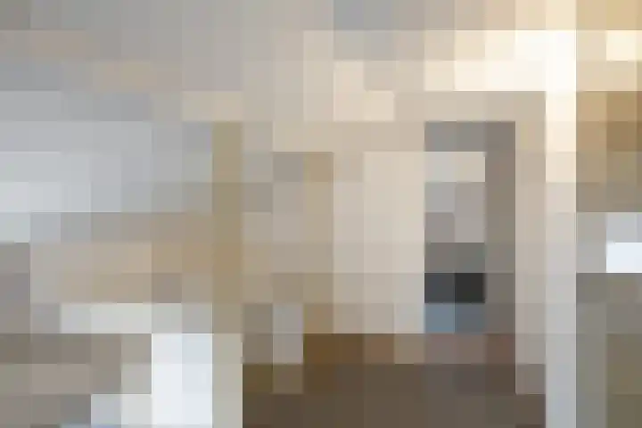 Torenweg 29 Adorp thumbnail 27