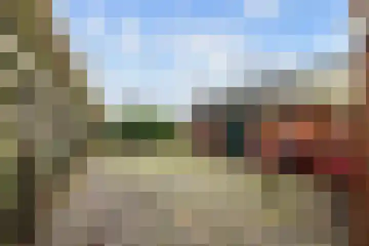 Torenweg 29 Adorp thumbnail 33