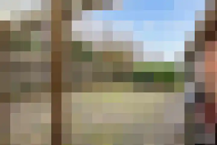 Torenweg 29 Adorp thumbnail 34