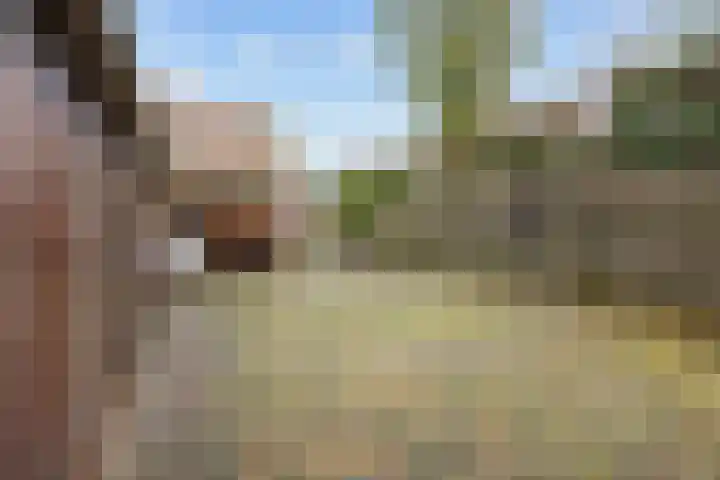 Torenweg 29 Adorp thumbnail 35