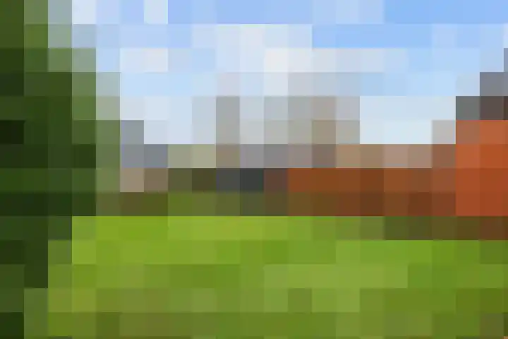 Torenweg 29 Adorp thumbnail 37