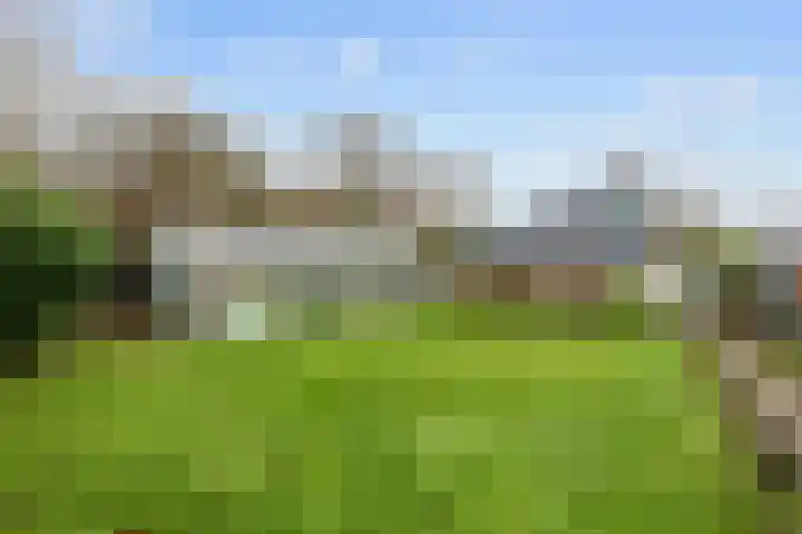 Torenweg 29 Adorp thumbnail 38