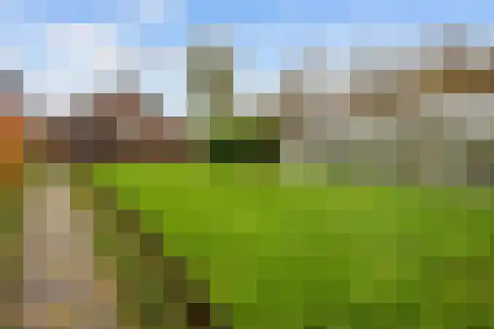 Torenweg 29 Adorp thumbnail 39