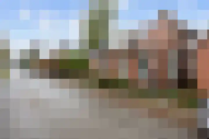 Torenweg 29 Adorp thumbnail 4