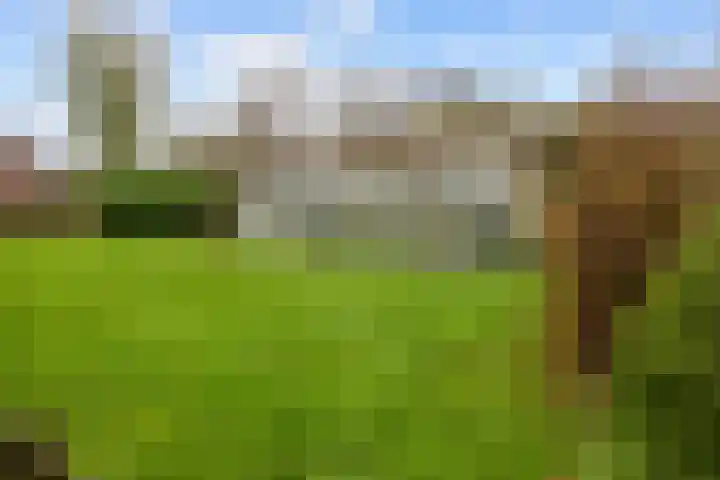 Torenweg 29 Adorp thumbnail 40
