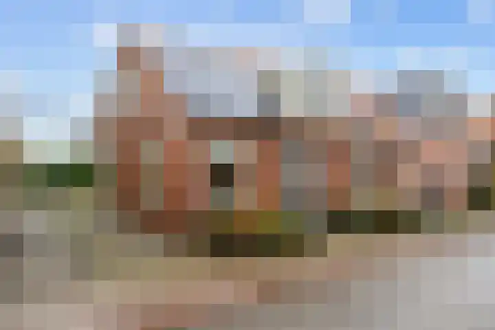 Torenweg 29 Adorp thumbnail 5