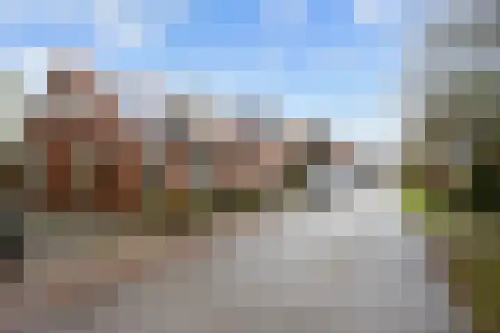 Torenweg 29 Adorp thumbnail 6