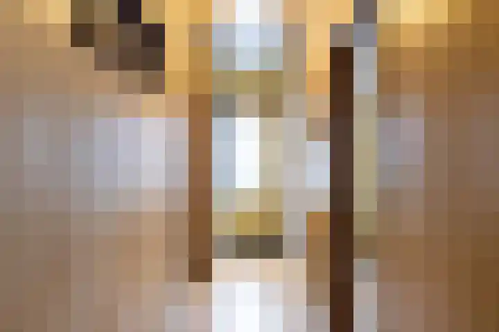Torenweg 29 Adorp thumbnail 7