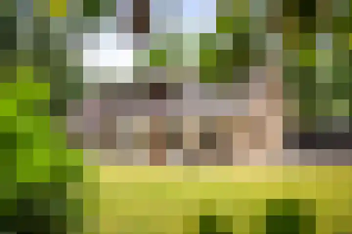 Torenweg 36 Epe foto 2