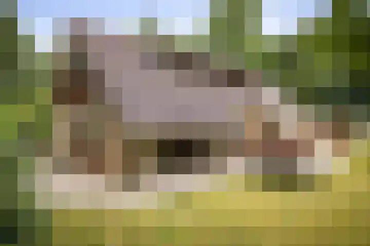 Torenweg 36 Epe thumbnail 30