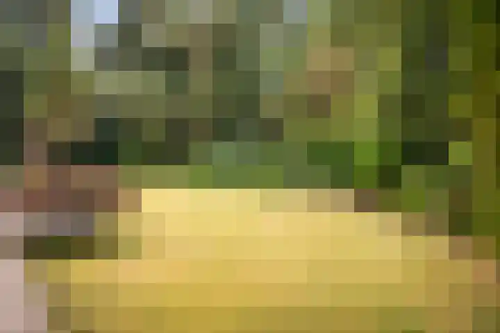 Torenweg 36 Epe thumbnail 33