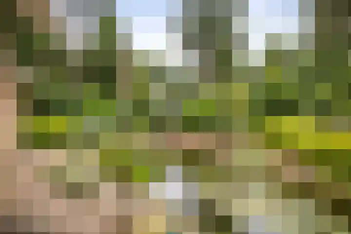 Torenweg 36 Epe thumbnail 35