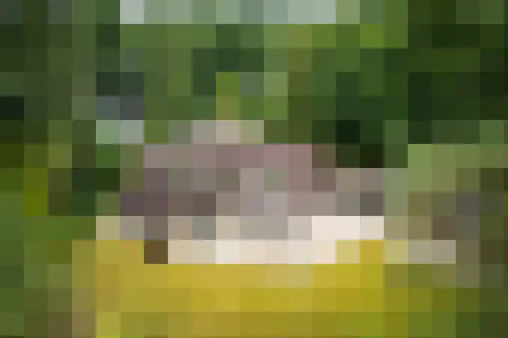 Torenweg 36 Epe thumbnail 4