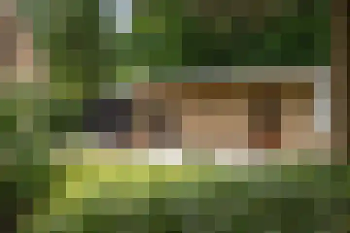 Torenweg 36 Epe thumbnail 41