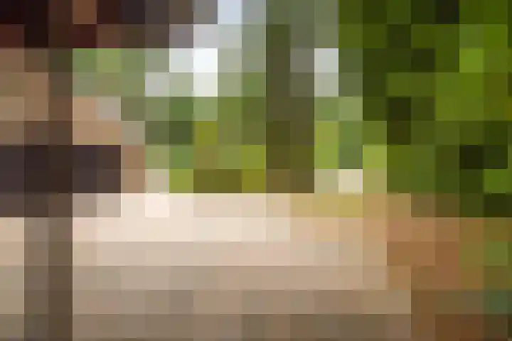Torenweg 36 Epe thumbnail 43