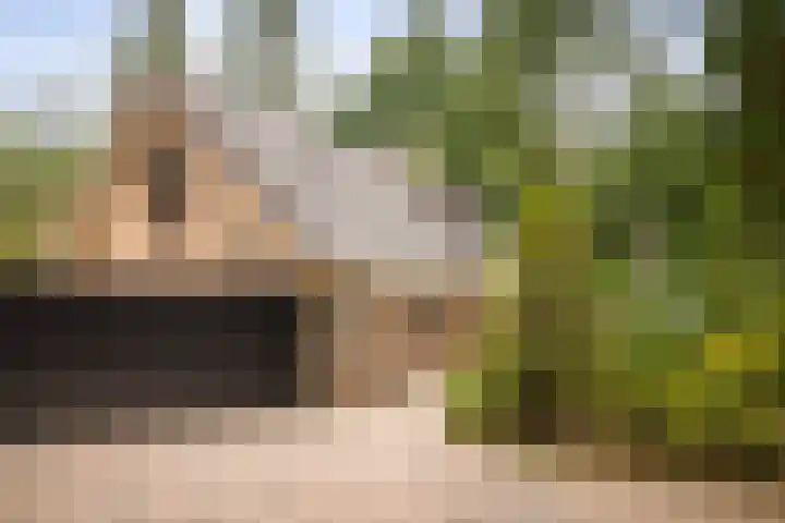 Torenweg 36 Epe thumbnail 44