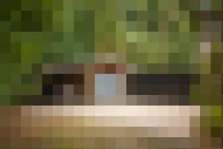 Torenweg 36 Epe thumbnail 45