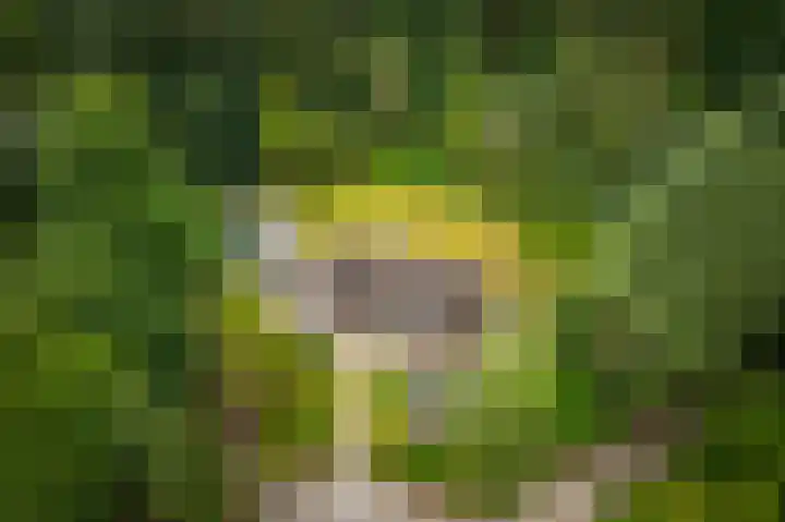 Torenweg 36 Epe thumbnail 49