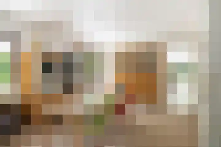 Torenweg 36 Epe thumbnail 7