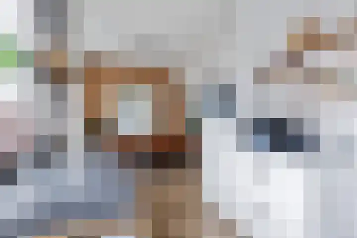 Torenweg 36 Warffum thumbnail 18