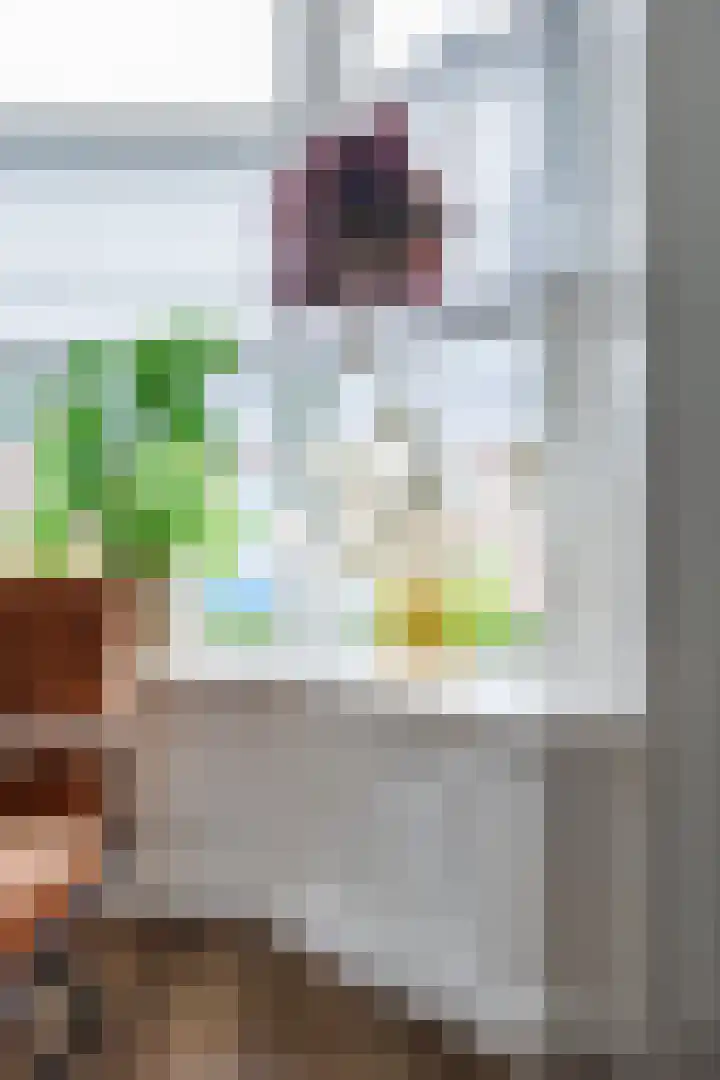 Torenweg 36 Warffum thumbnail 24