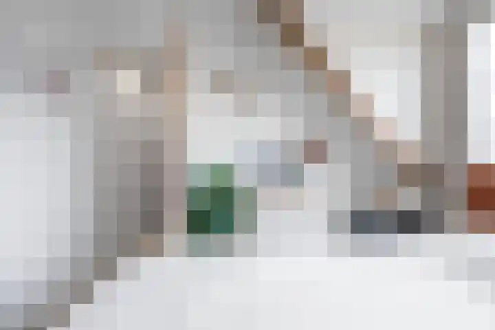 Torenweg 36 Warffum thumbnail 30