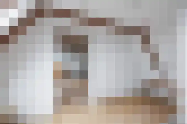 Torenweg 36 Warffum thumbnail 37