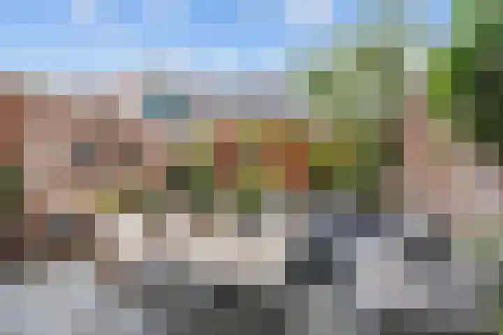 Torenweg 36 Warffum thumbnail 41