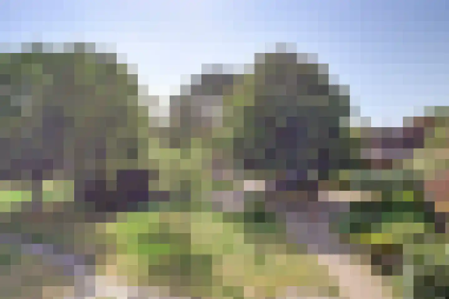 Torenweg 38 0032 Burgh-Haamstede thumbnail 21