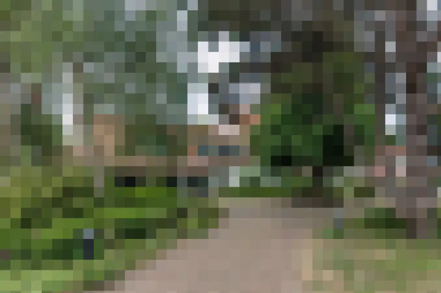 Torenweg 38 0054 Burgh-Haamstede thumbnail 13