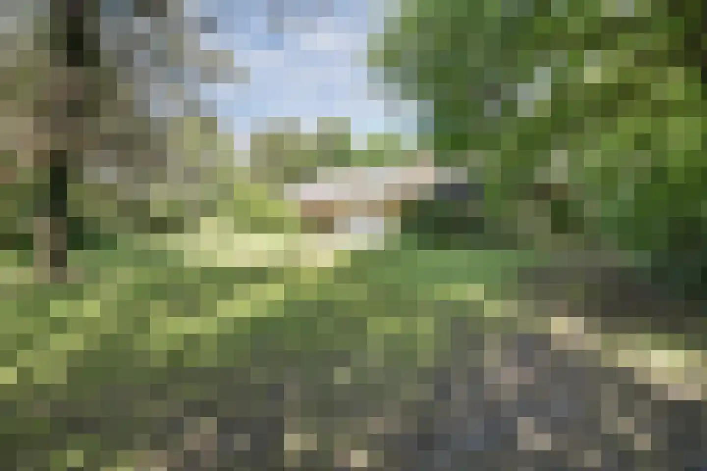 Torenweg 56 Burgh-Haamstede thumbnail 34