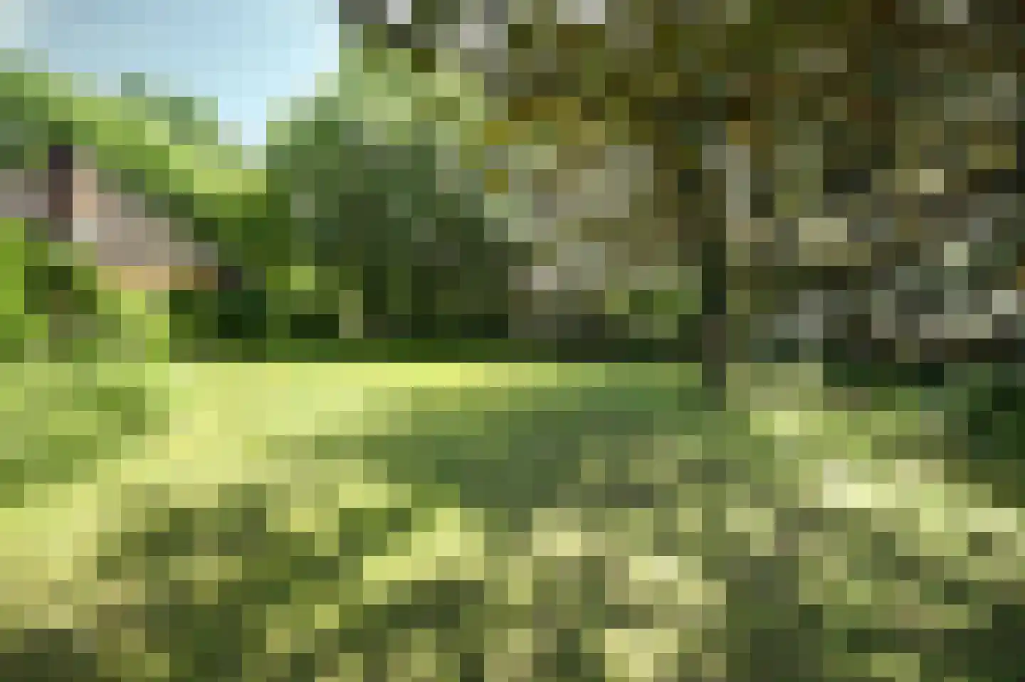Torenweg 56 Burgh-Haamstede thumbnail 38