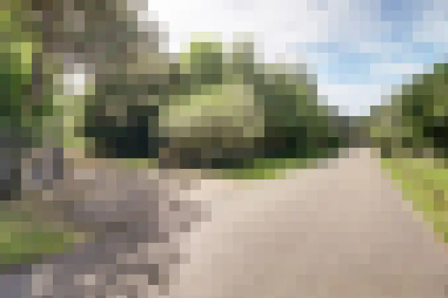 Torenweg 56 Burgh-Haamstede thumbnail 4