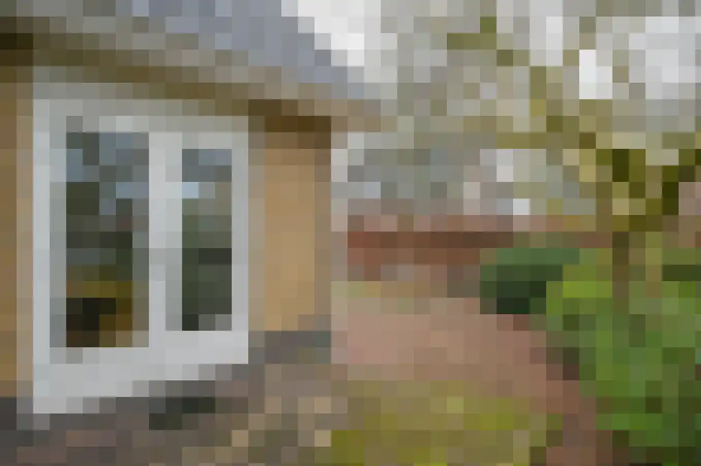 Torenweg 6 Nederhorst den Berg thumbnail 12