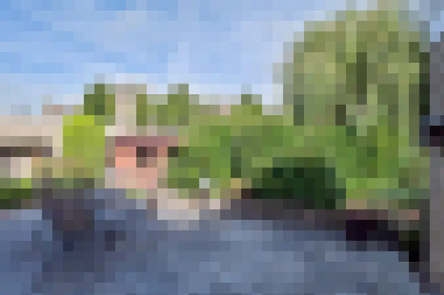 Torenweg 6 Nederhorst den Berg thumbnail 25