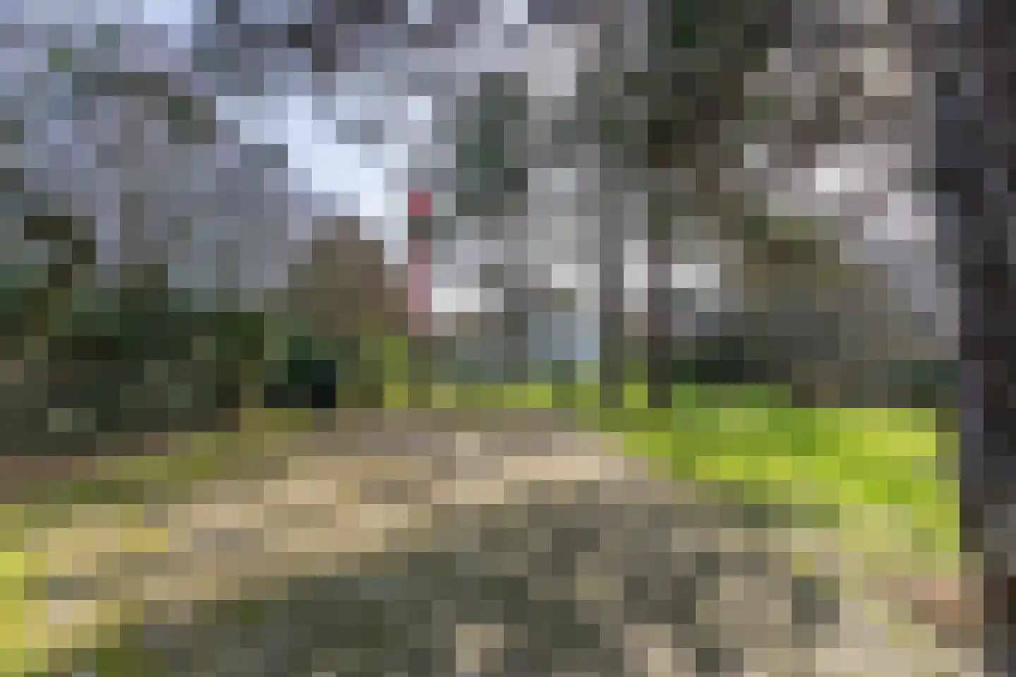 Torenweg 60 Burgh-Haamstede thumbnail 28