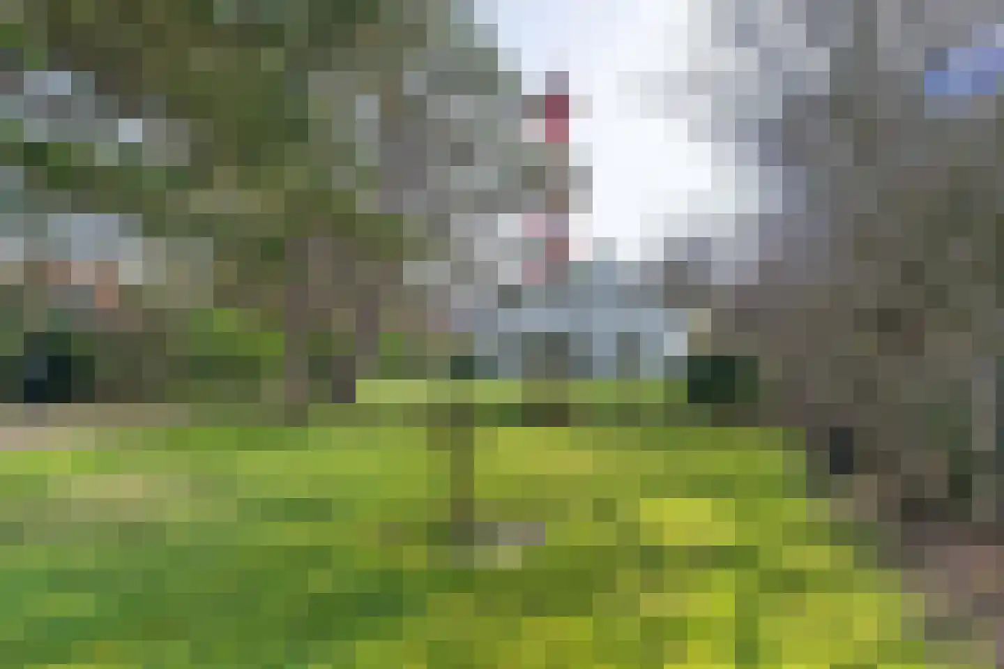 Torenweg 60 Burgh-Haamstede thumbnail 30