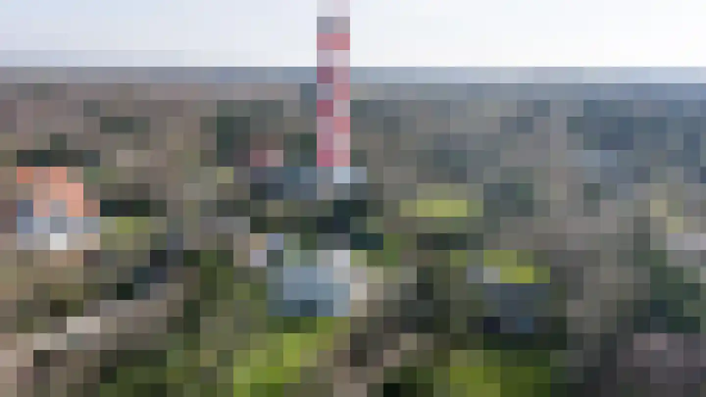 Torenweg 60 Burgh-Haamstede thumbnail 31