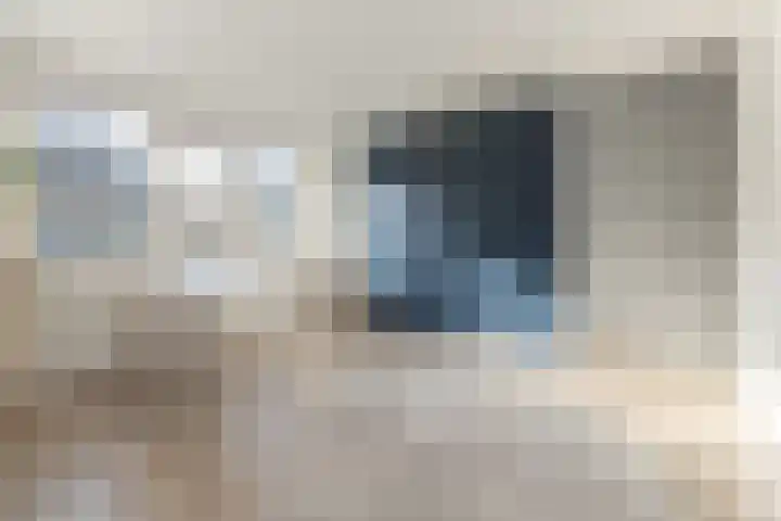Torenzicht 38 Eemnes thumbnail 24